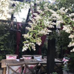 茉莉花园咖啡(惠民路店) 여행 사진