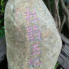 红杜鹃农家乐 User Photo