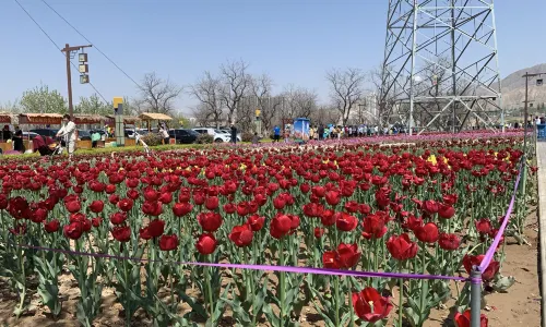 Yongjing Liujiaxia Tourist Resort