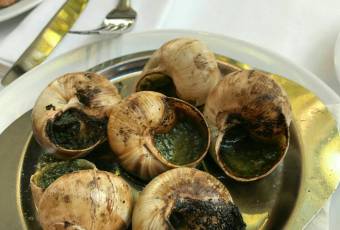 CAFE DE LA PAIX user photo