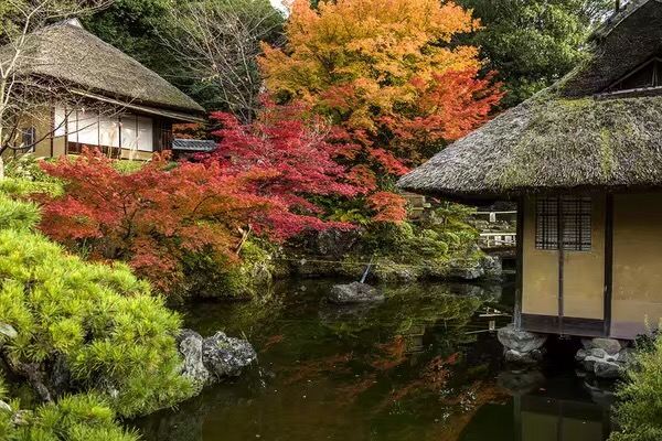 青龍寺景點 京都旅遊評論 旅行指南 Trip Com 青龍寺景點 京都旅遊評論 旅行指南 Trip Com