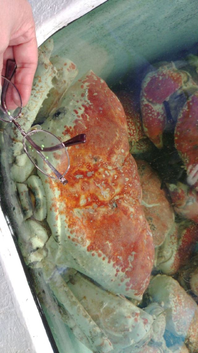 Sydney Fish Market