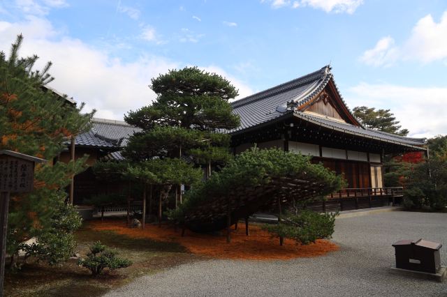 金閣寺