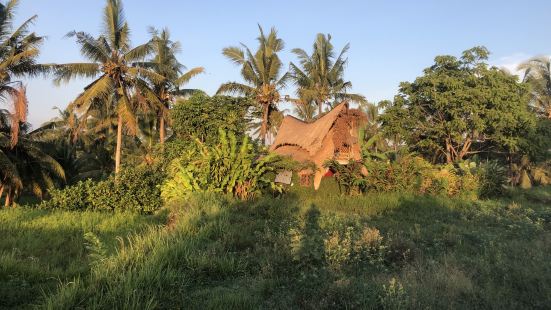Fun in the jungles! Ubud is th