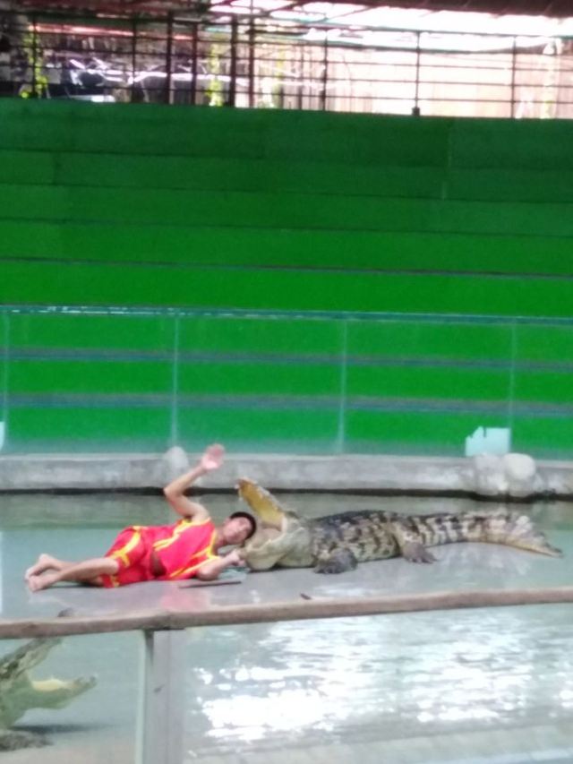 是拉差龍虎園