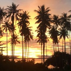 The Irish Embassy Pub, Restaurant and Sports Bar User Photo