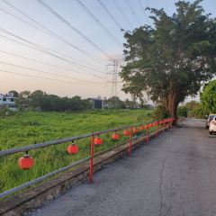 Medan Ikan Bakar MPPD User Photo