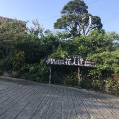 Kajinho User Photo