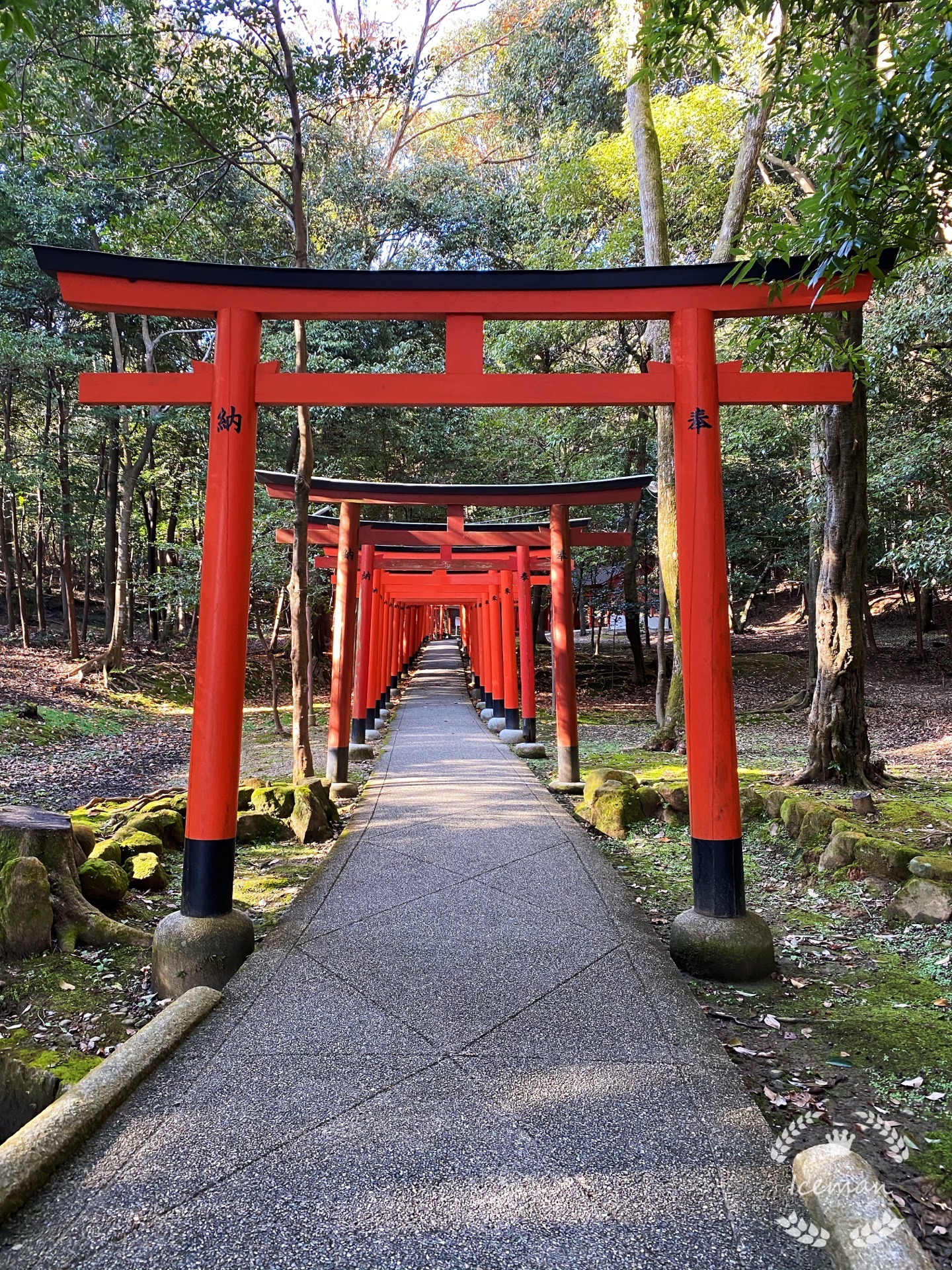 橿原神宮旅遊攻略指南 橿原神宮評論 橿原神宮附近推薦 Trip Com