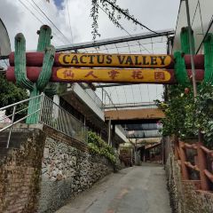 Cactus View Restaurant 여행 사진