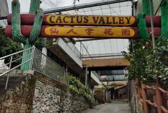 Cactus View Restaurant User Photo