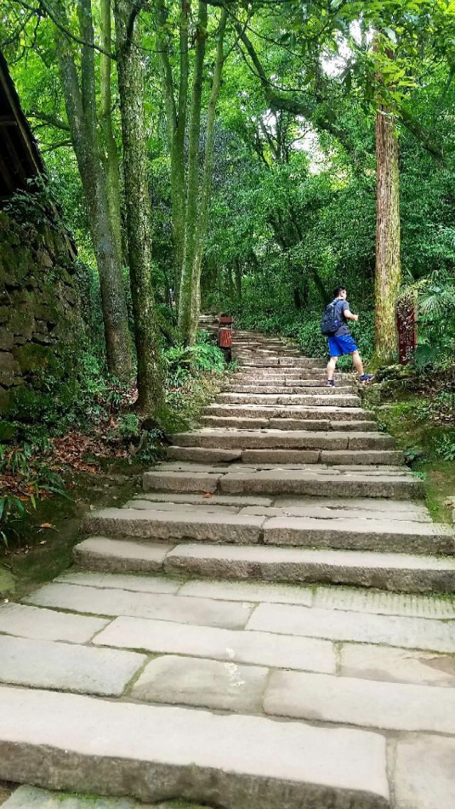 Qingcheng Mountain