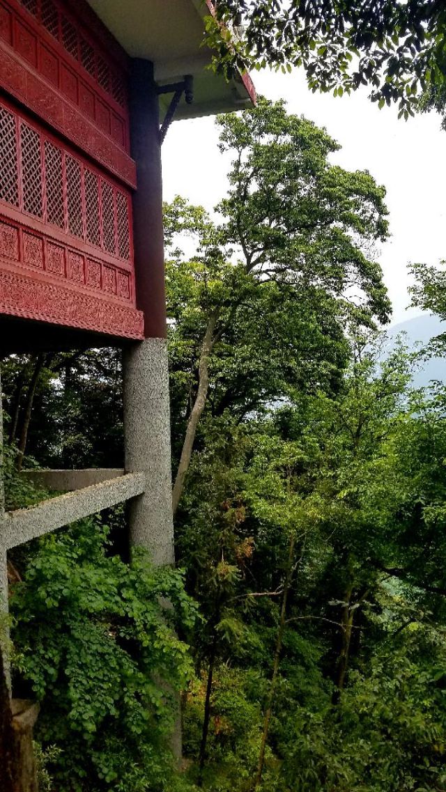 Qingcheng Mountain