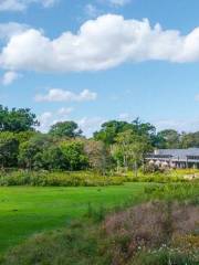 Botanischer Garten Kirstenbosch