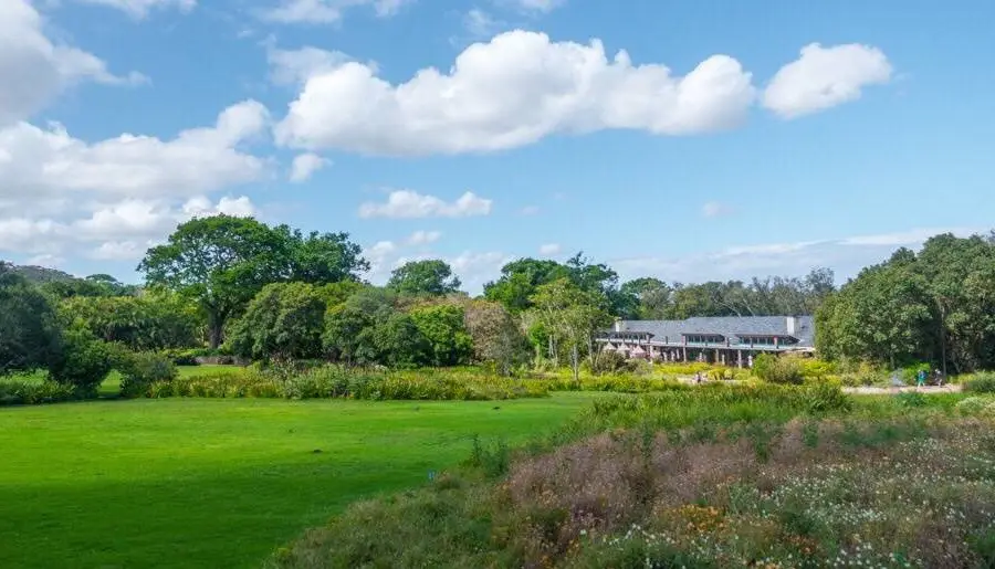 Botanischer Garten Kirstenbosch