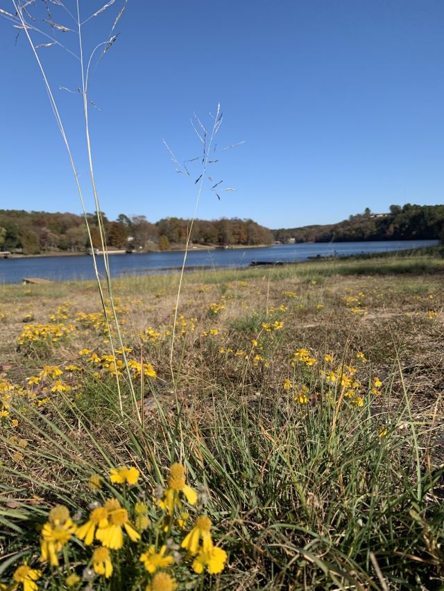 Lake Catherine State Park