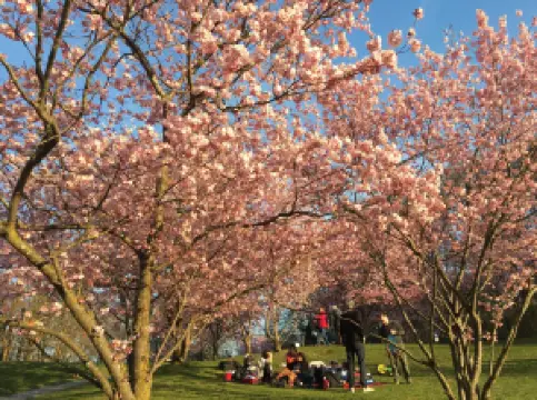 慕尼黑奧林匹克公園