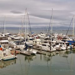 Pier Market Seafood Restaurant User Photo