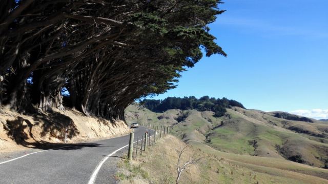 Otago Peninsula