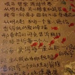 SEA STORY User Photo