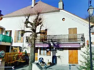 Le Cafe du Midi - La Violette