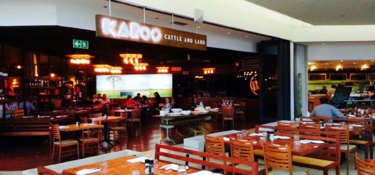 Karoo Cattle & Land