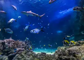 SEA LIFE Sydney Aquarium