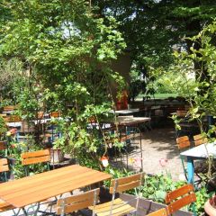 Kyklos張用戶圖片