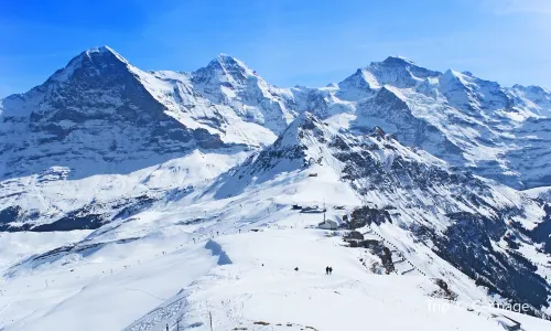 Skiing in Grindelwald
