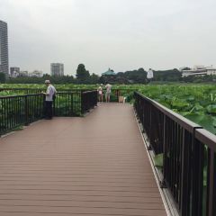 Izuei Main Restaurant User Photo