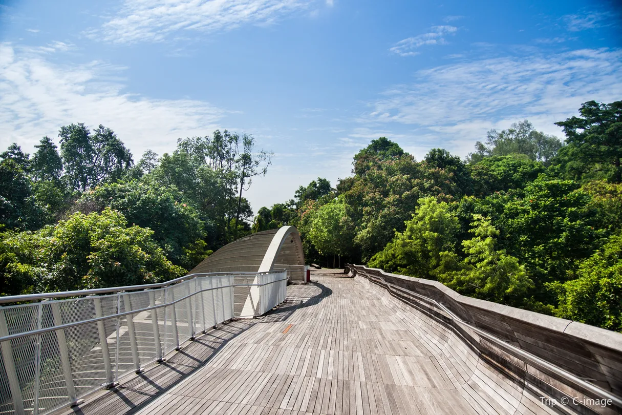 4_Mount Faber Park
