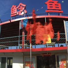 BAI SHI NIAN YU SHANG User Photo