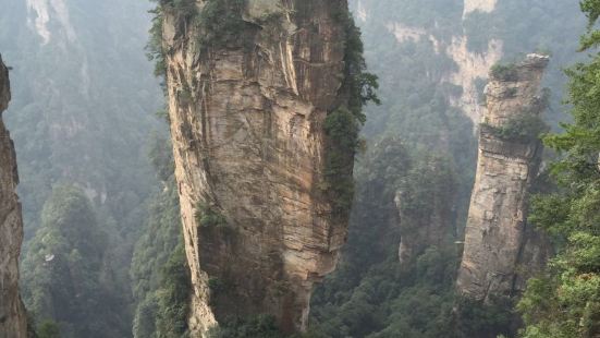 张家界风景真的很赞，奇山异石，跑遍全国也没有这么漂亮的景色，