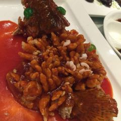 Song helou User Photo