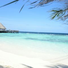 Sand Bar 여행 사진