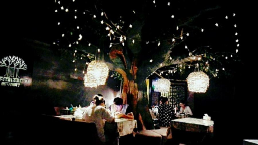 树下时尚餐厅(翠园街店)
