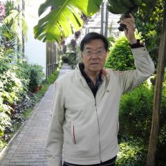 Changjixiaochiyitiaojie User Photo