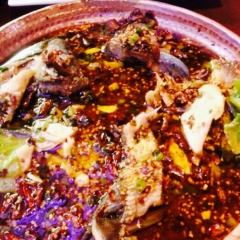 V·sherry User Photo