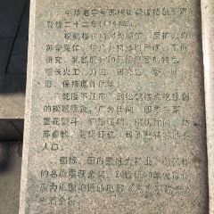 Song helou User Photo