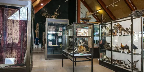 瓦努阿圖國家博物館