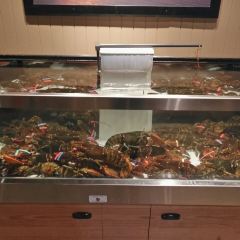 Red Lobster User Photo