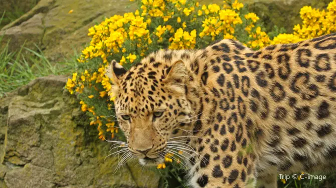 1_Edinburgh Zoo