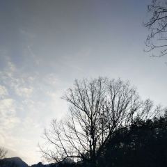 TAO HUA CHONG SEN LIN GONG YUAN HUA CHENG NONG GU 여행 사진