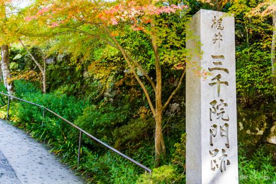 大阪三千院+嵐山+嵐電嵐山站 足湯+心齋橋一日遊