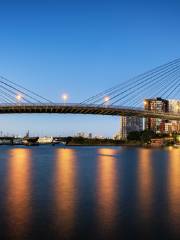 Anzac Bridge