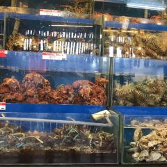Seafood House Restaurant User Photo