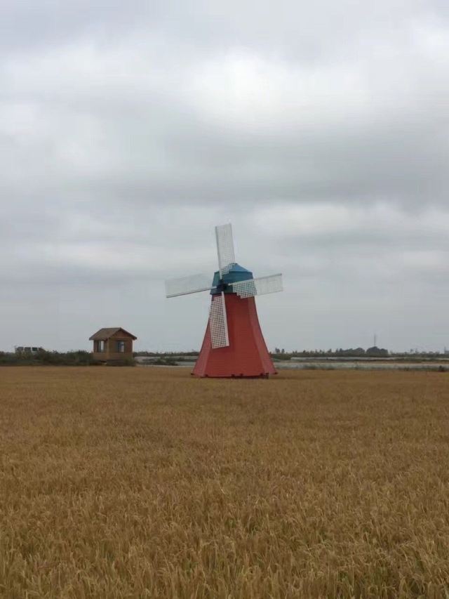 홍하이탄