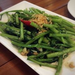 Green Bird User Photo