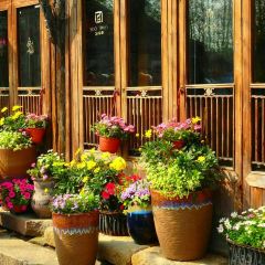THE FOREST LIVE MUSIC ảnh của người dùng