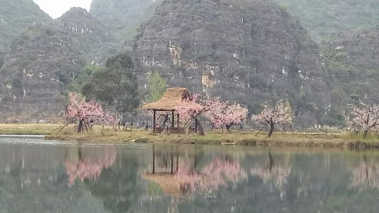 菜花箐是普者黑的一个地名，也是一个景点。《三生三世十里桃花》